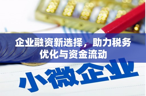苏尼特右旗企业融资新选择，助力税务优化与资金流动
