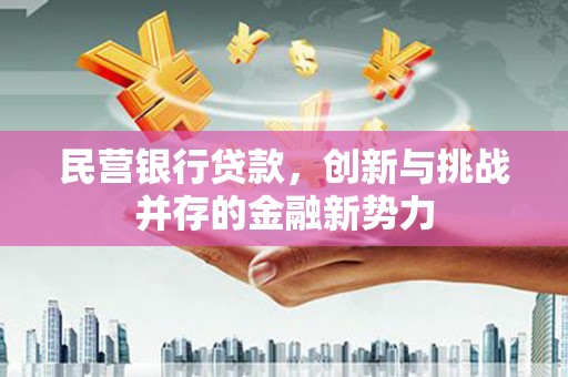 苏尼特右旗民营银行贷款，创新与挑战并存的金融新势力