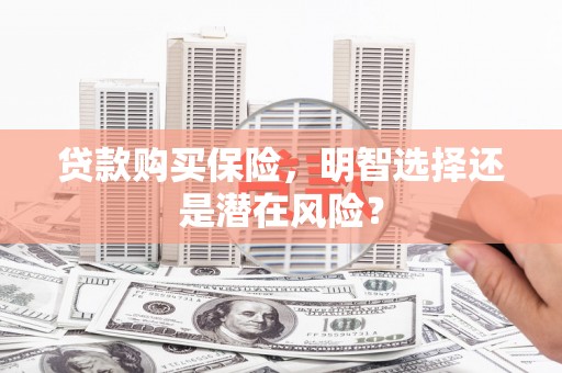 苏尼特右旗贷款购买保险，明智选择还是潜在风险？
