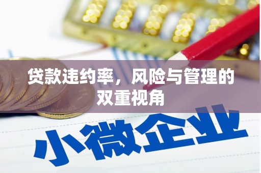 苏尼特右旗贷款违约率，风险与管理的双重视角