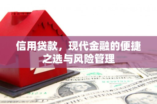 苏尼特右旗信用贷款，现代金融的便捷之选与风险管理