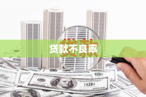 苏尼特右旗贷款不良率
