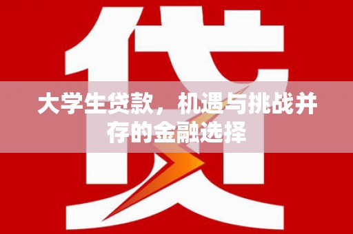 苏尼特右旗大学生贷款，机遇与挑战并存的金融选择