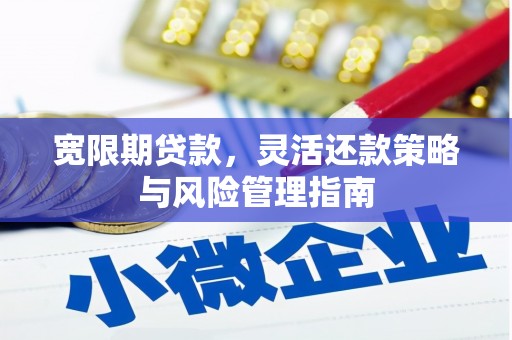 苏尼特右旗宽限期贷款，灵活还款策略与风险管理指南