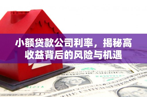 苏尼特右旗小额贷款公司利率，揭秘高收益背后的风险与机遇