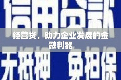 苏尼特右旗经营贷，助力企业发展的金融利器