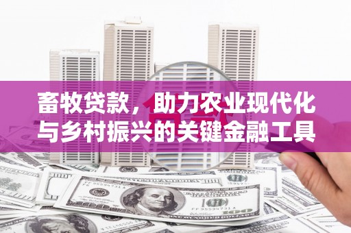 苏尼特右旗畜牧贷款，助力农业现代化与乡村振兴的关键金融工具