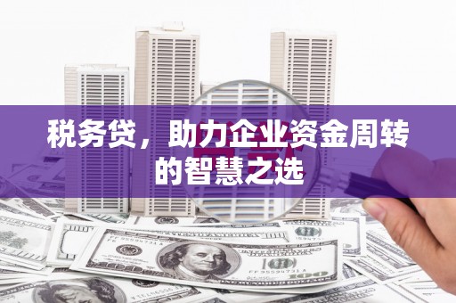 苏尼特右旗税务贷，助力企业资金周转的智慧之选
