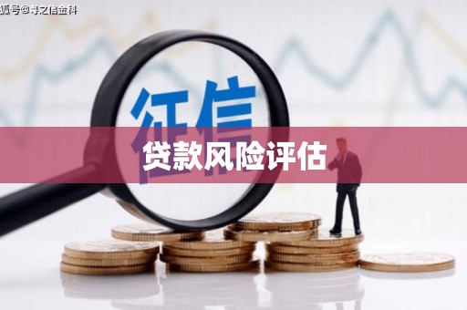 苏尼特右旗贷款风险评估