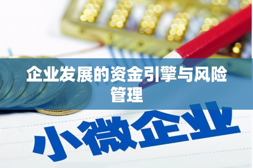 苏尼特右旗企业发展的资金引擎与风险管理
