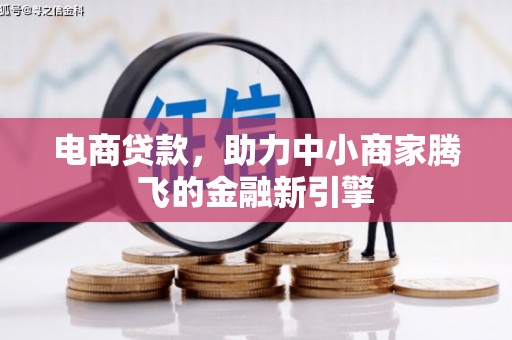 苏尼特右旗电商贷款，助力中小商家腾飞的金融新引擎