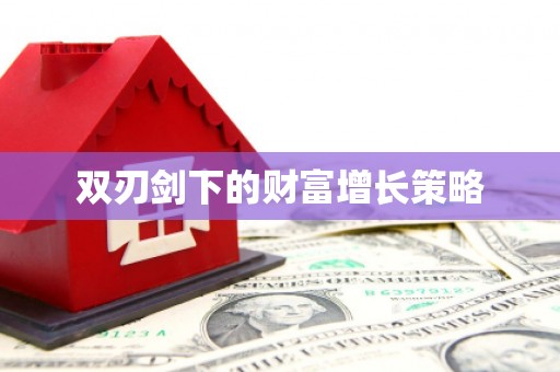 苏尼特右旗双刃剑下的财富增长策略
