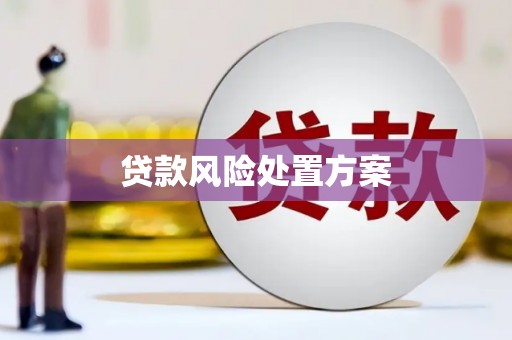 苏尼特右旗贷款风险处置方案