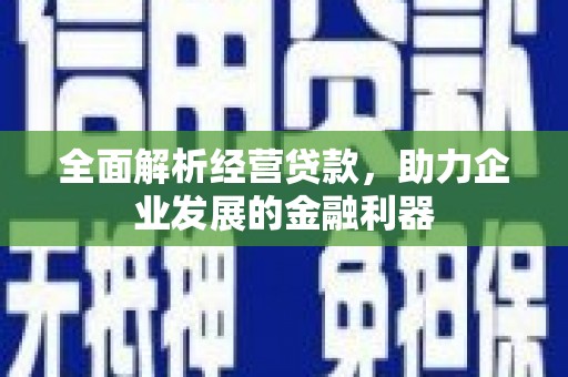 苏尼特右旗全面解析经营贷款，助力企业发展的金融利器