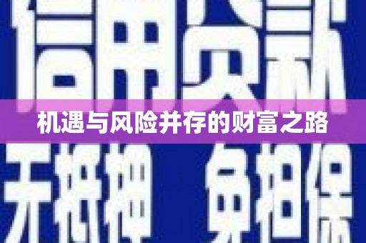苏尼特右旗机遇与风险并存的财富之路