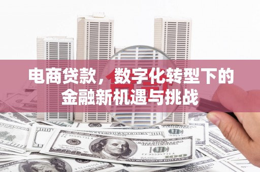 苏尼特右旗电商贷款，数字化转型下的金融新机遇与挑战