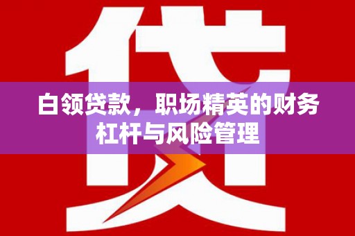 苏尼特右旗白领贷款，职场精英的财务杠杆与风险管理