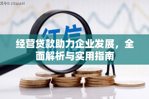 苏尼特右旗经营贷款助力企业发展，全面解析与实用指南