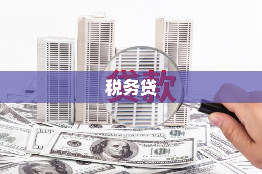 苏尼特右旗税务贷