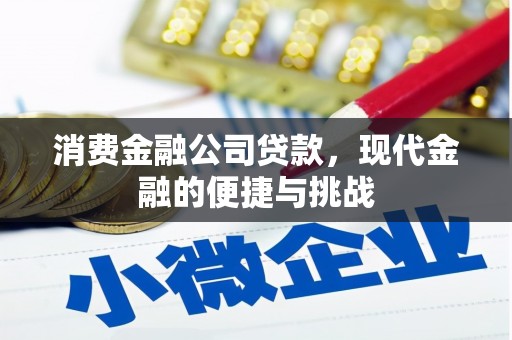 苏尼特右旗消费金融公司贷款，现代金融的便捷与挑战