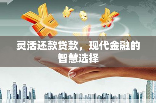 苏尼特右旗灵活还款贷款，现代金融的智慧选择