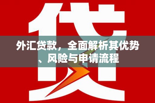 苏尼特右旗外汇贷款，全面解析其优势、风险与申请流程