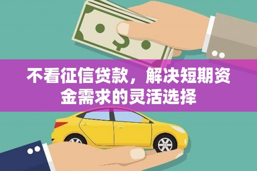苏尼特右旗不看征信贷款，解决短期资金需求的灵活选择