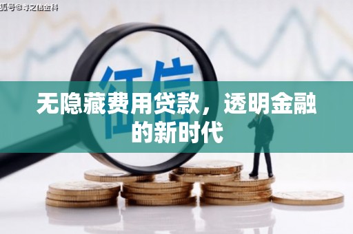 苏尼特右旗无隐藏费用贷款，透明金融的新时代