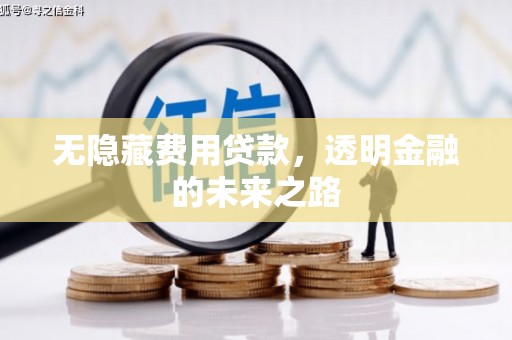 苏尼特右旗无隐藏费用贷款，透明金融的未来之路