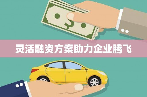 苏尼特右旗灵活融资方案助力企业腾飞