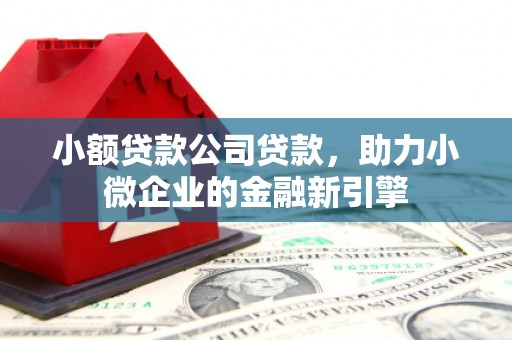 苏尼特右旗小额贷款公司贷款，助力小微企业的金融新引擎
