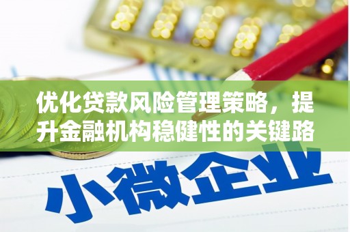 苏尼特右旗优化贷款风险管理策略，提升金融机构稳健性的关键路径