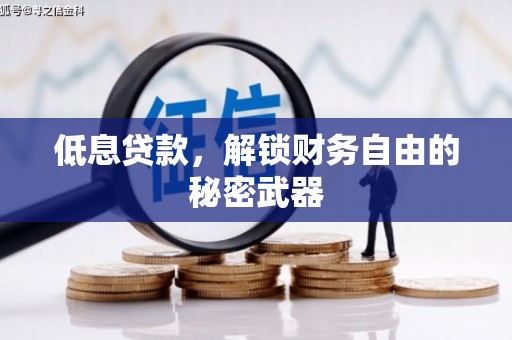 苏尼特右旗低息贷款，解锁财务自由的秘密武器