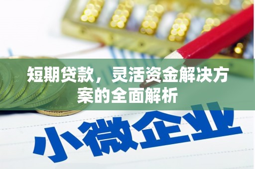 苏尼特右旗短期贷款，灵活资金解决方案的全面解析