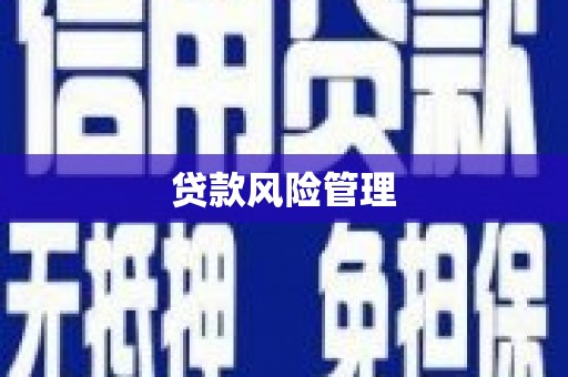 苏尼特右旗贷款风险管理