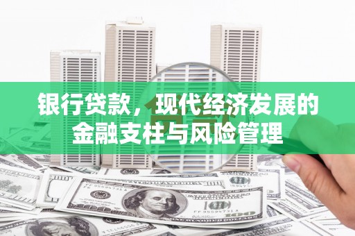 苏尼特右旗银行贷款，现代经济发展的金融支柱与风险管理