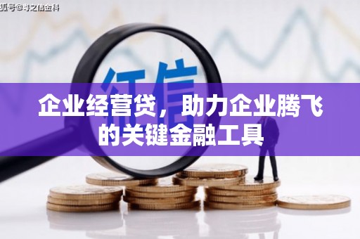 苏尼特右旗企业经营贷，助力企业腾飞的关键金融工具