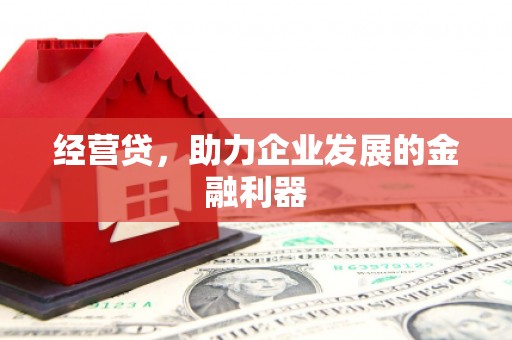 苏尼特右旗经营贷，助力企业发展的金融利器