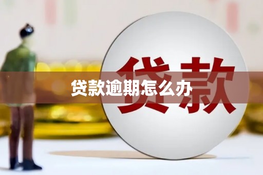 苏尼特右旗贷款逾期怎么办