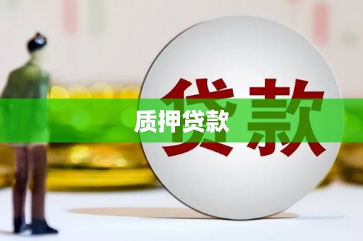 苏尼特右旗质押贷款