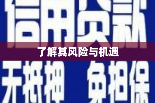苏尼特右旗了解其风险与机遇