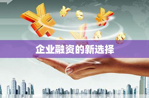 苏尼特右旗企业融资的新选择