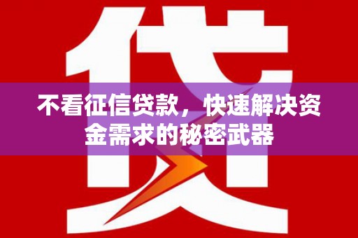 苏尼特右旗不看征信贷款，快速解决资金需求的秘密武器