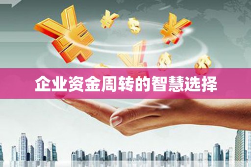 苏尼特右旗企业资金周转的智慧选择