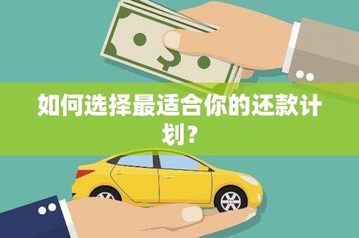 苏尼特右旗如何选择最适合你的还款计划？
