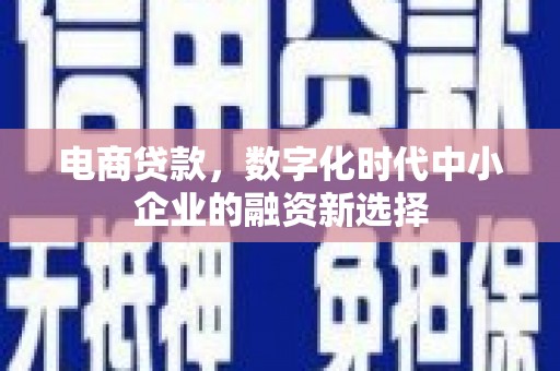 苏尼特右旗电商贷款，数字化时代中小企业的融资新选择