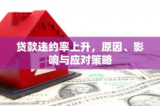 苏尼特右旗贷款违约率上升，原因、影响与应对策略