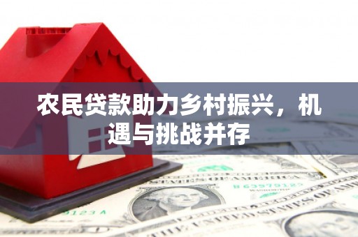 苏尼特右旗农民贷款助力乡村振兴，机遇与挑战并存