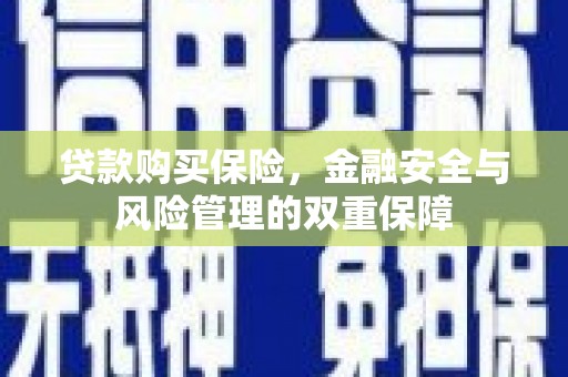 苏尼特右旗贷款购买保险，金融安全与风险管理的双重保障