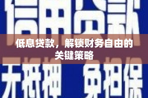 苏尼特右旗低息贷款，解锁财务自由的关键策略
